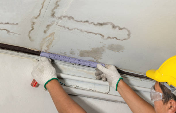 Reliable Structural Drying contractor in Jacksonville, IL by Water Damage Irwin